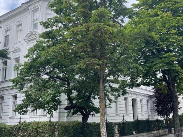 Wohnung mieten in Innere Stadt, Wien