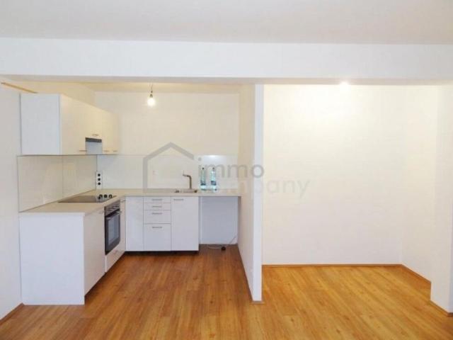 Wohnung mieten in Innere Stadt, Wien