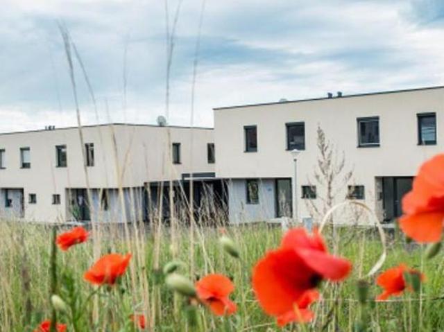 Haus mieten in Niederösterreich