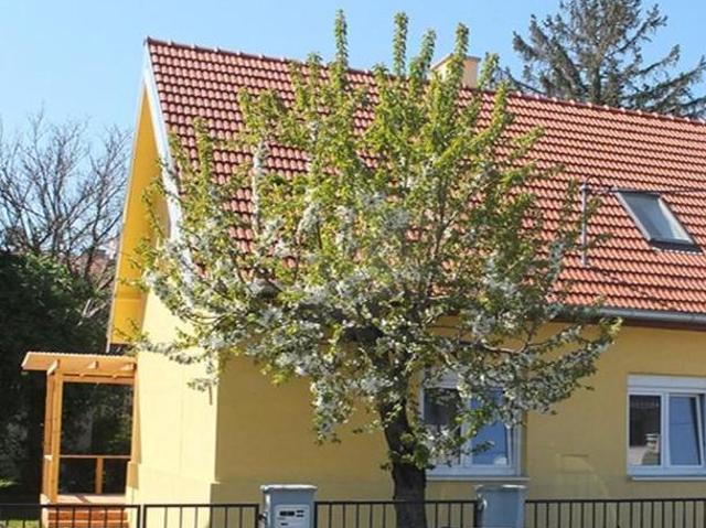 Haus mieten in KG Innere Stadt, Wien