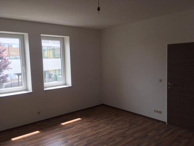Wohnung mieten in Mondi Neusiedler, Amstetten