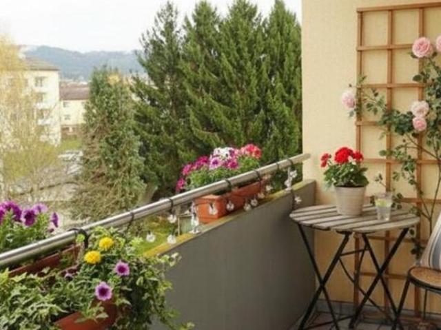 Wohnung mieten in Freistadt, Oberösterreich