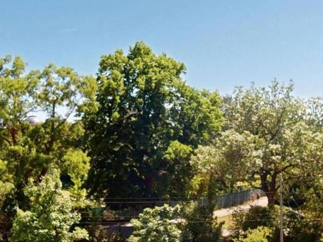 Wohnung mieten in Innere Stadt, Wien