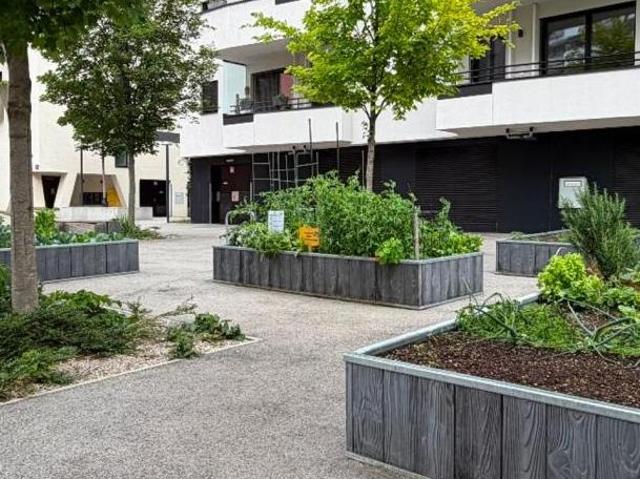 Wohnung mieten in Innere Stadt, Wien