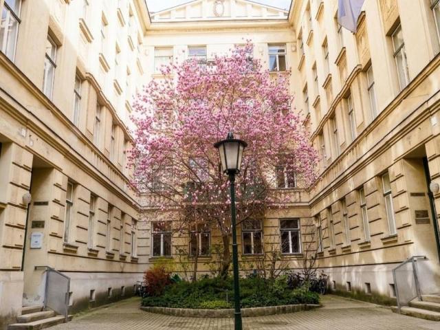 Wohnung mieten in Innere Stadt, Wien