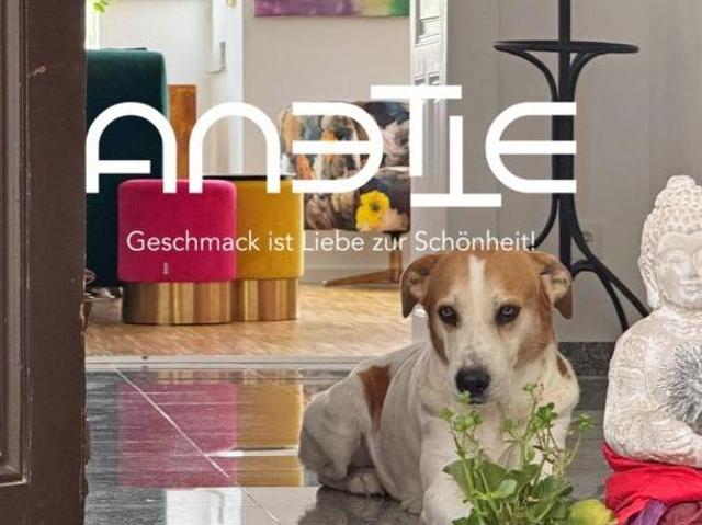 Wohnung mieten in Hollabrunn, Niederösterreich