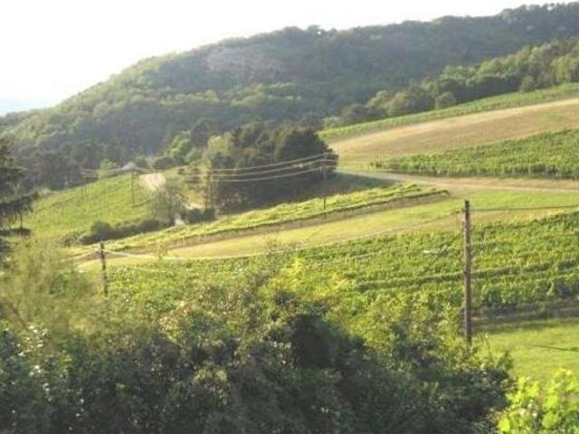 Haus mieten in Langenzersdorf, Niederösterreich
