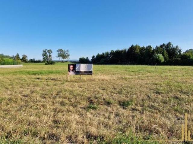 Wohnung mieten in Geidorf, Gersdorf-Feistritz