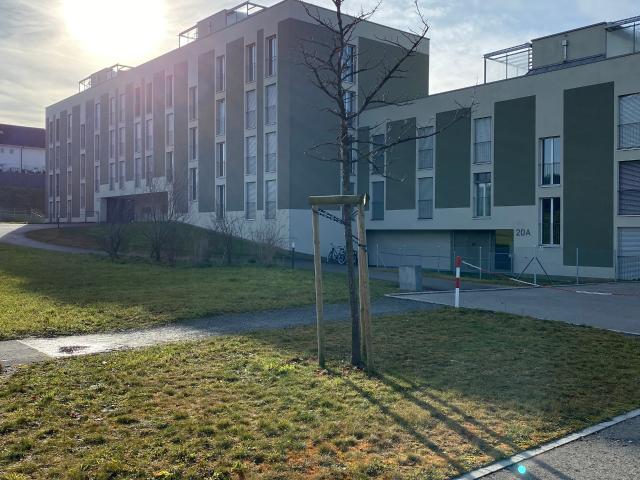 Apartment mieten in Lü