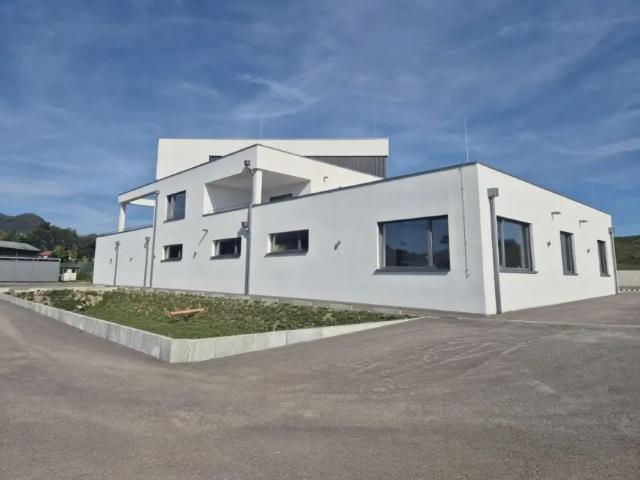 Gewerbe mieten in Frankenburg am Hausruck, Bezirk Vöcklabruck