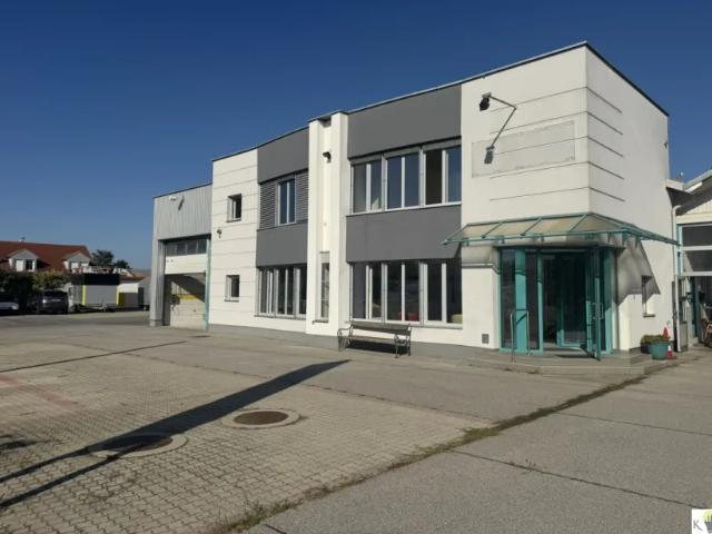 Gewerbe mieten in Gols, Burgenland
