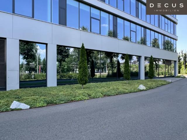 Gewerbe mieten in Industriegebiet-Hafen, Linz