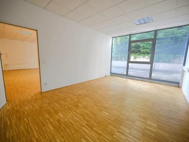 Gewerbe mieten in Chemiepark Linz, Linz