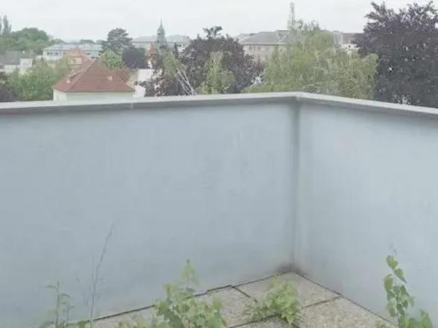 Gewerbe mieten in Mistelbach, Niederösterreich