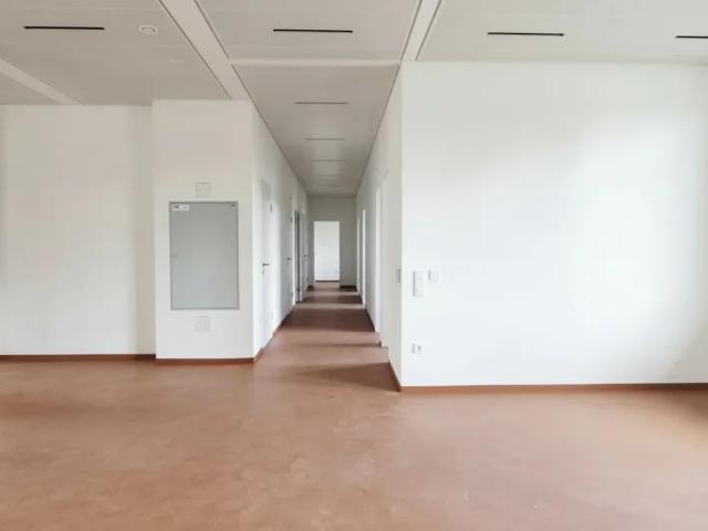 Gewerbe mieten in Katastralgemeinde Prinzersdorf, Prinzersdorf