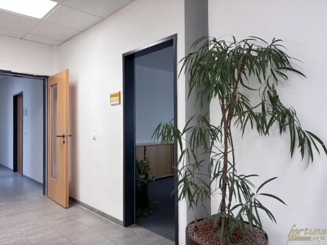 Gewerbe mieten in Katastralgemeinde St. Pölten, St. Pölten