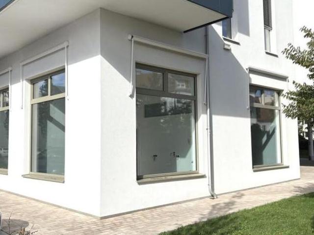 Gewerbe mieten in Katastralgemeinde Baierdorf, Graz