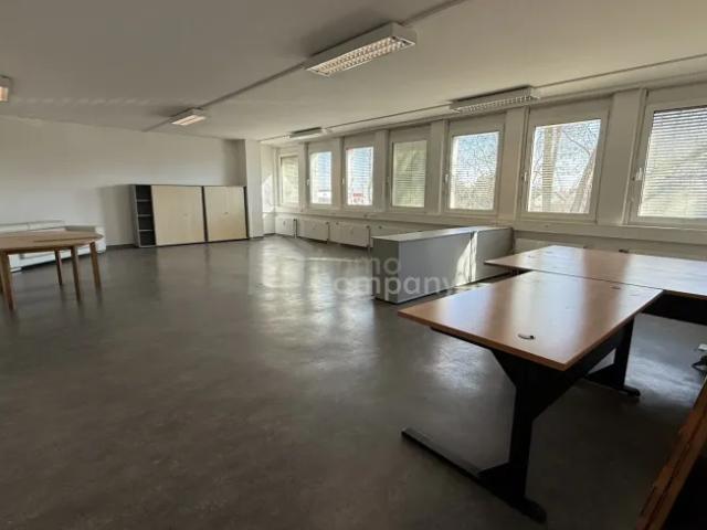 Gewerbe mieten in Wöllersdorf-Steinabrückl, Niederösterreich