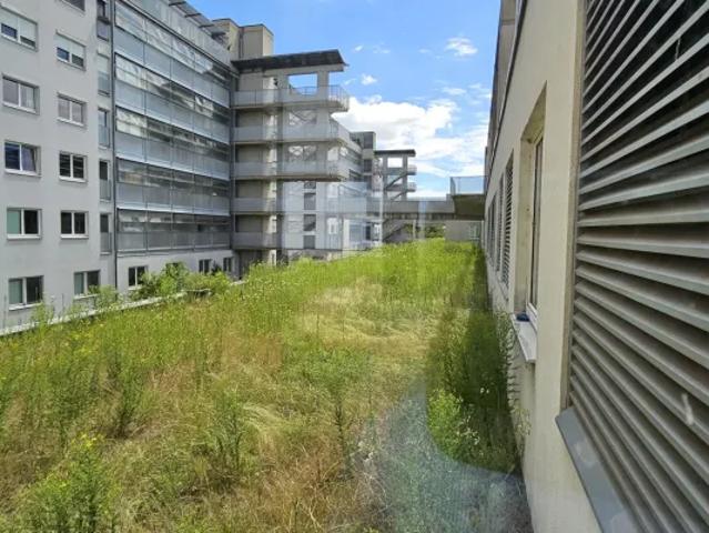Gewerbe mieten in Donaustadt, Wien