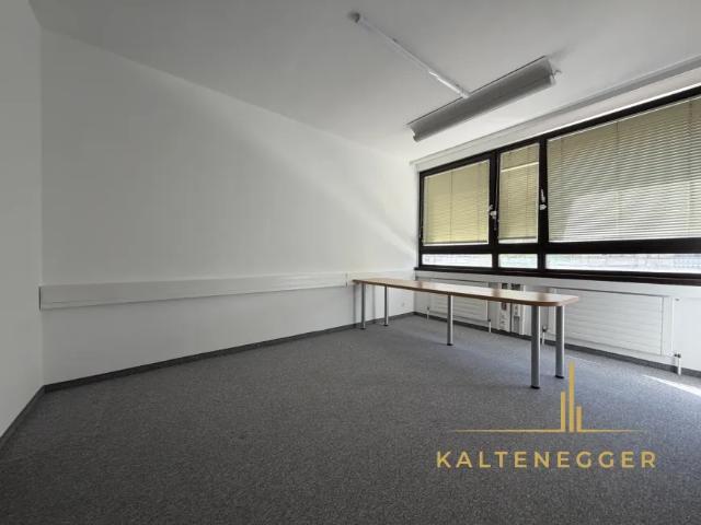 Gewerbe mieten in Donaustadt, Wien