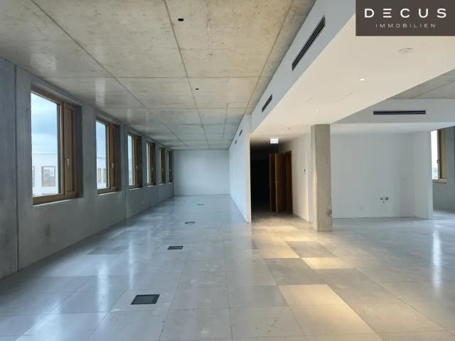 Gewerbe mieten in Donaustadt, Wien