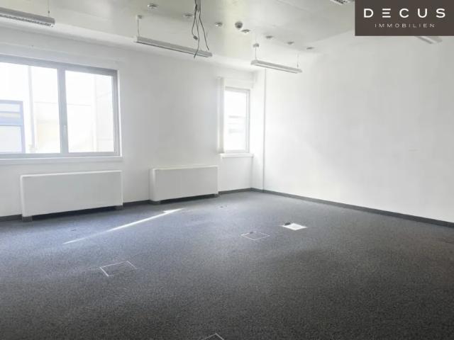 Gewerbe mieten in Donaustadt, Wien