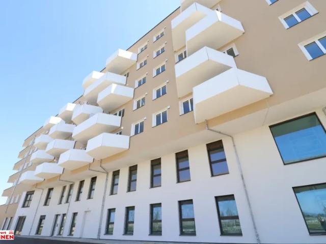 Gewerbe mieten in Donaustadt, Wien
