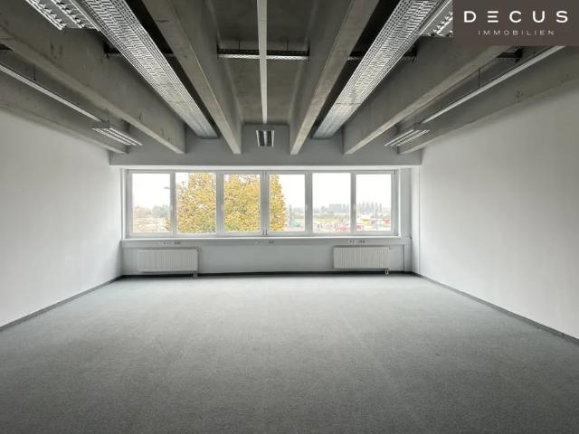 Gewerbe mieten in Donaustadt, Wien