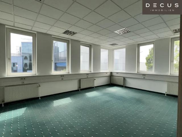 Gewerbe mieten in Seestadt, Wien