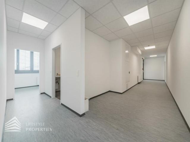 Gewerbe mieten in Seestadt, Wien