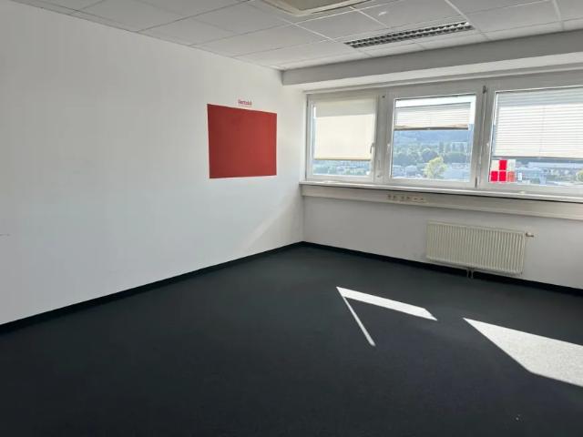 Gewerbe mieten in Wiener Neudorf, Niederösterreich
