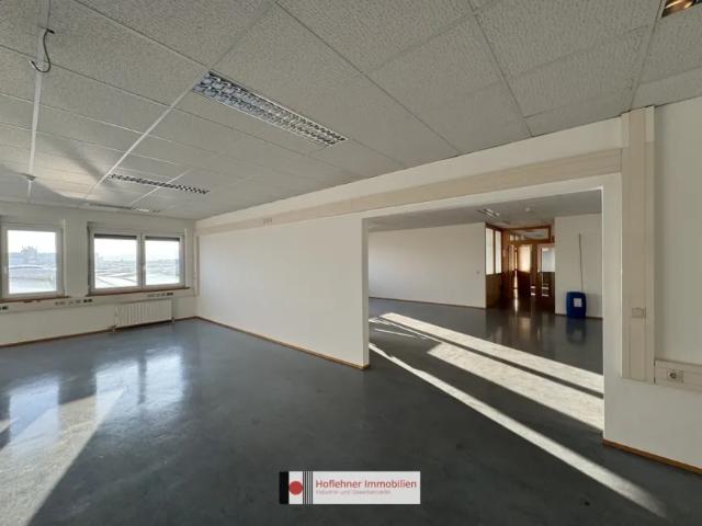 Gewerbe mieten in Wiener Neudorf, Niederösterreich