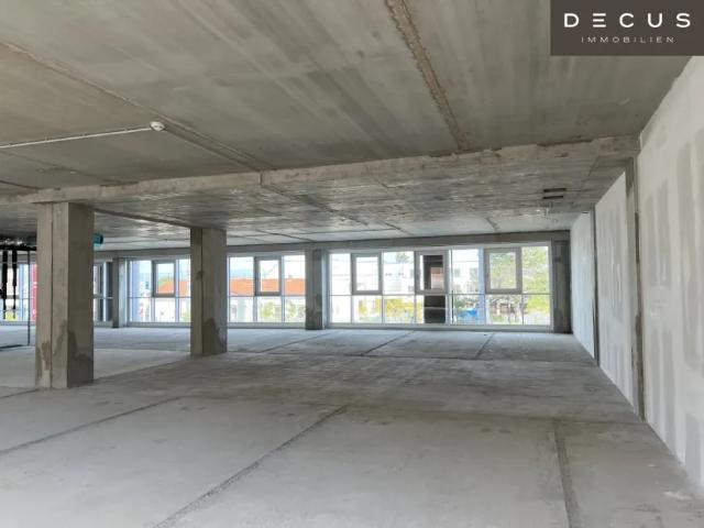 Gewerbe mieten in Wiener Neudorf, Niederösterreich