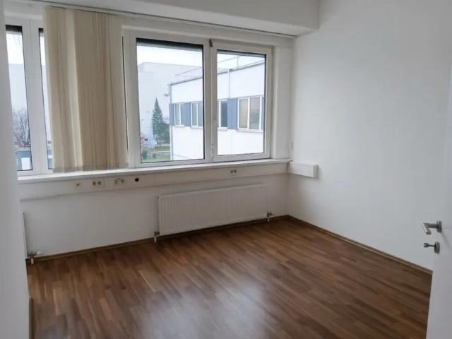 Gewerbe mieten in Wiener Neudorf, Niederösterreich