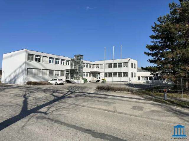 Gewerbe mieten in Wiener Neustadt, Niederösterreich
