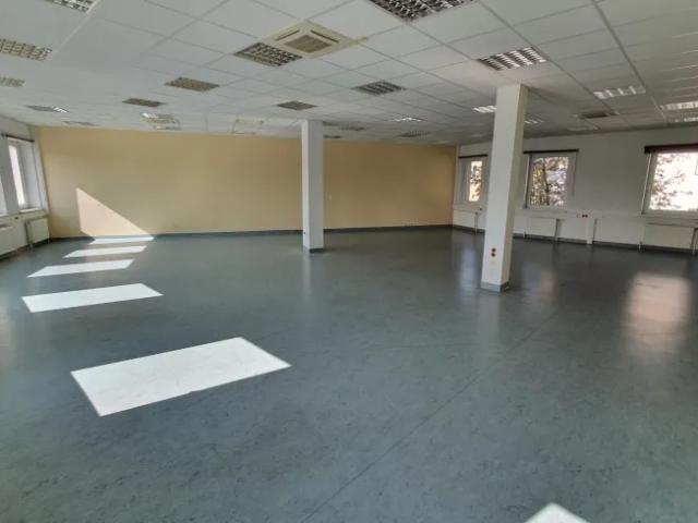 Gewerbe mieten in Wiener Neustadt, Niederösterreich