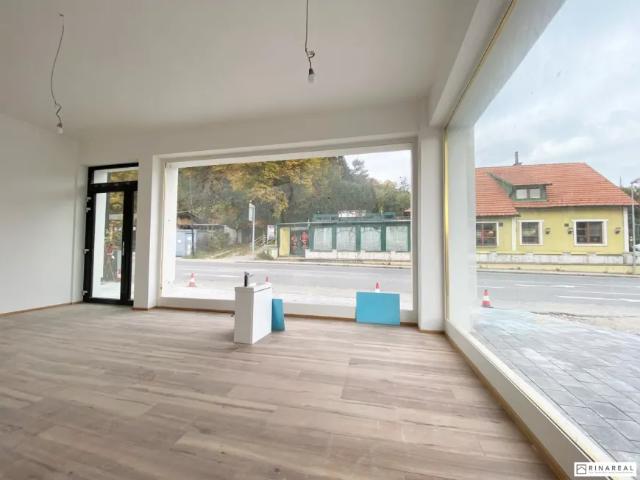 Immobilie mieten in Pressbaum, Niederösterreich