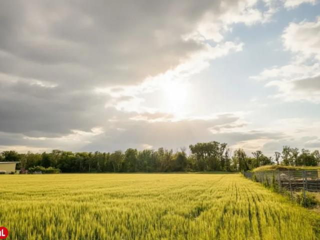 Grundstück mieten in Enzersdorf an der Fischa, Niederösterreich