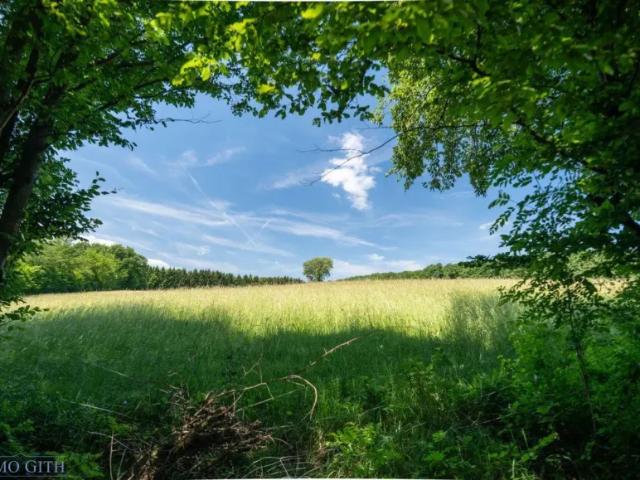 Grundstück mieten in Wienerwald, Niederösterreich