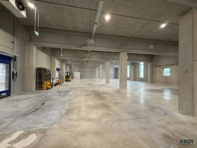 Immobilie mieten in Himberg, Niederösterreich