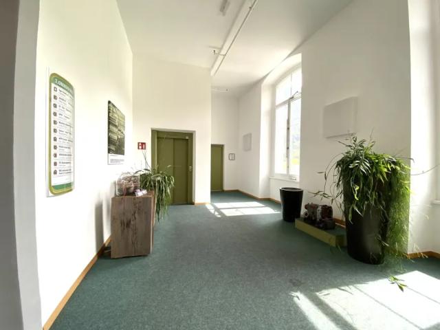 Immobilie mieten in Nenzing-Gurtis, Vorarlberg
