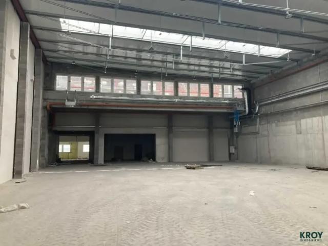 Immobilie mieten in Katastralgemeinde Traiskirchen, Traiskirchen