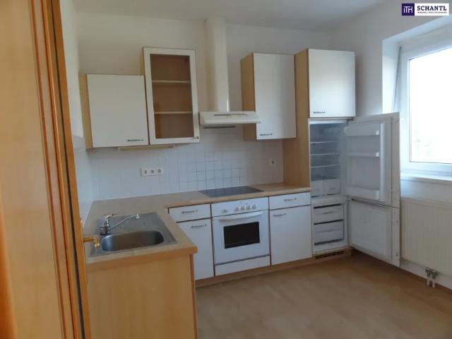 Haus mieten in Laßnitzhöhe, Bezirk Graz-Umgebung