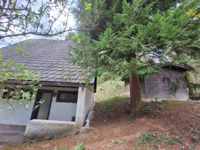 Haus mieten in Wartmannstetten, Niederösterreich