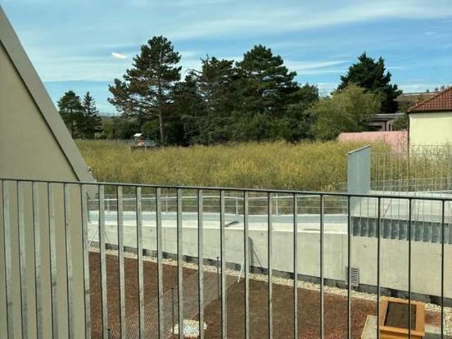 Wohnung mieten in Bruck an der Leitha, Niederösterreich