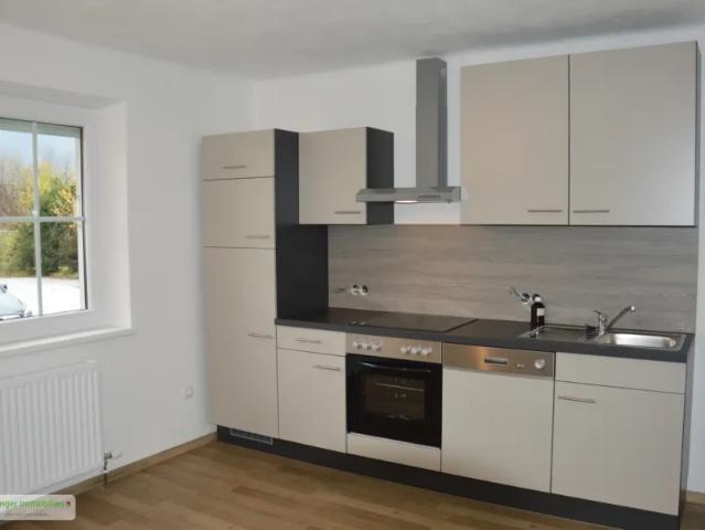 Wohnung mieten in Bad Vigaun, Bezirk Hallein