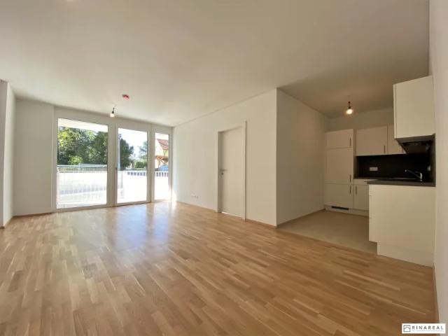 Wohnung mieten in Bad Vöslau, Niederösterreich