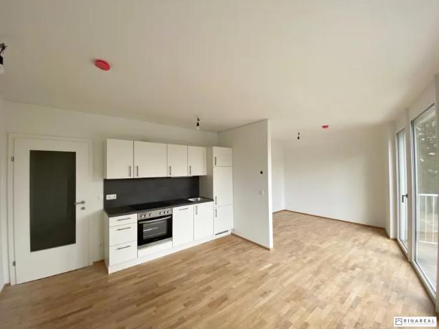 Wohnung mieten in Bad Vöslau, Niederösterreich