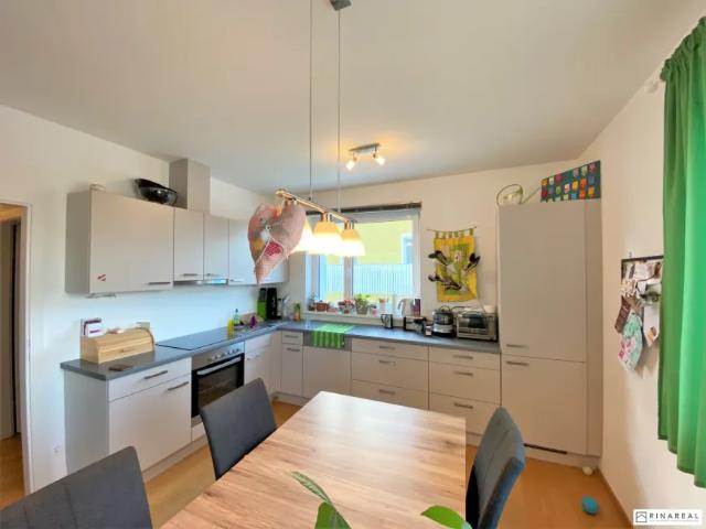 Wohnung mieten in Bad Vöslau, Niederösterreich