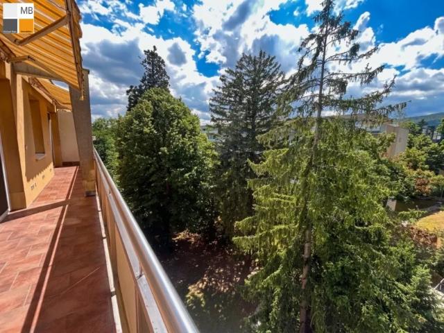 Wohnung mieten in Baden, Niederösterreich